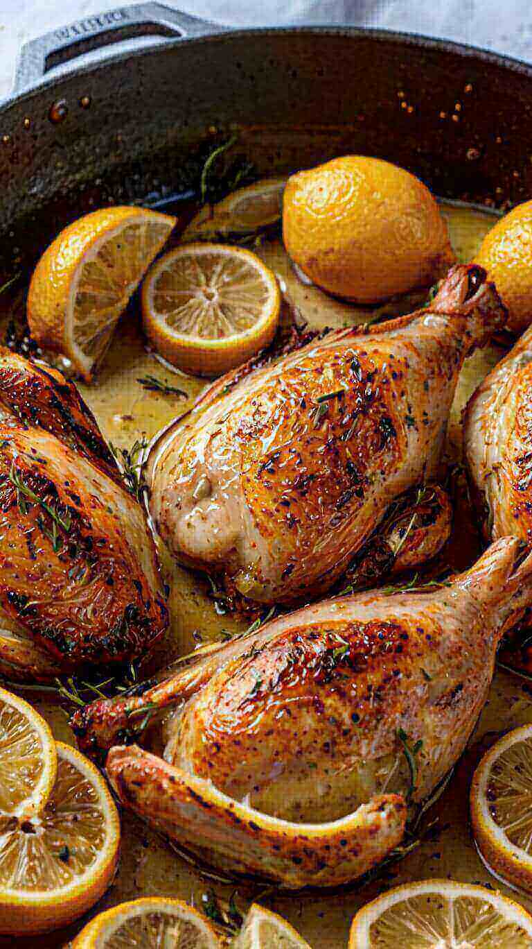 Ina Garten Skillet Roasted Lemon Chicken 