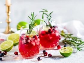 Cranberry Mule Recipe