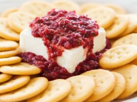 Delicious Cranberry Salsa Recipe